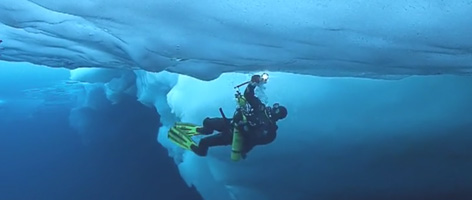 Deepsea Under The Pole